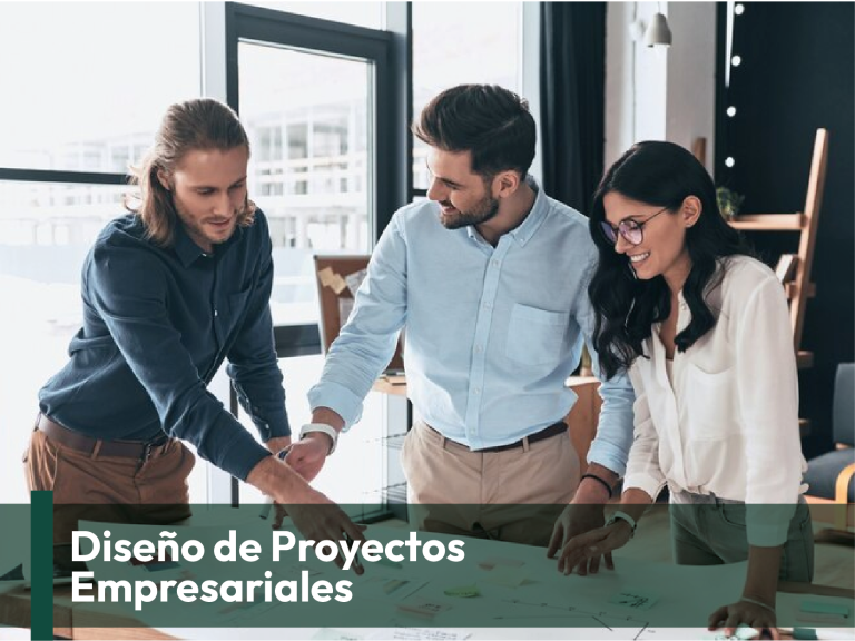 Diseño de Proyectos Empresariales